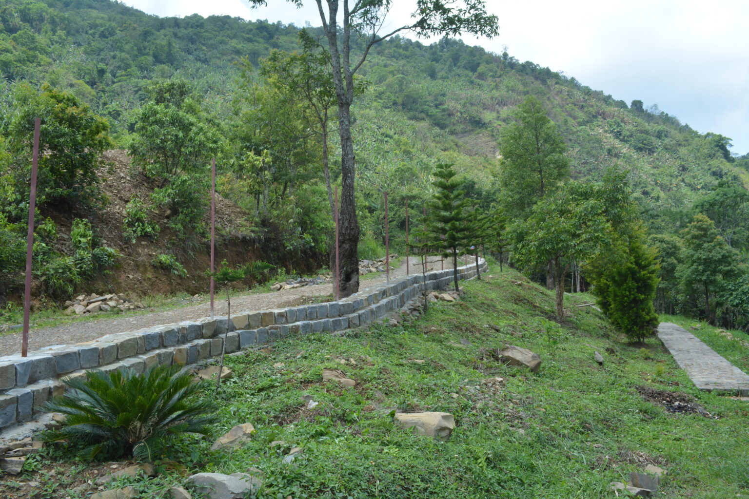 Botanical garden piphema campus